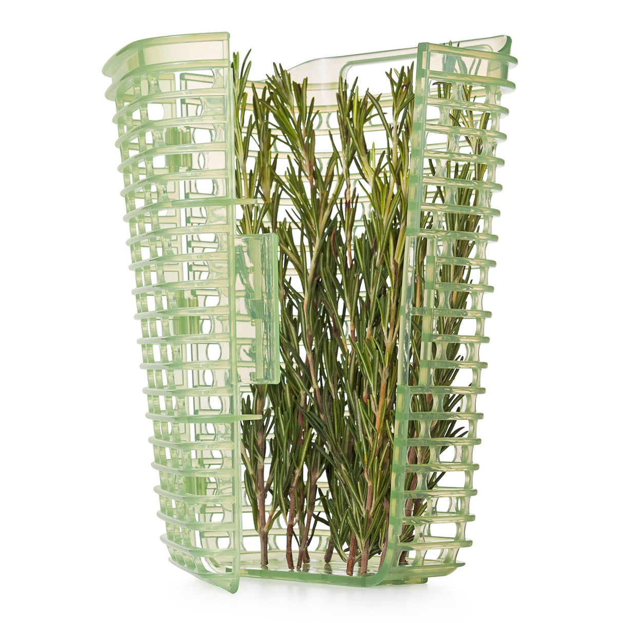 GreenSaver™ Herb Keeper - Large