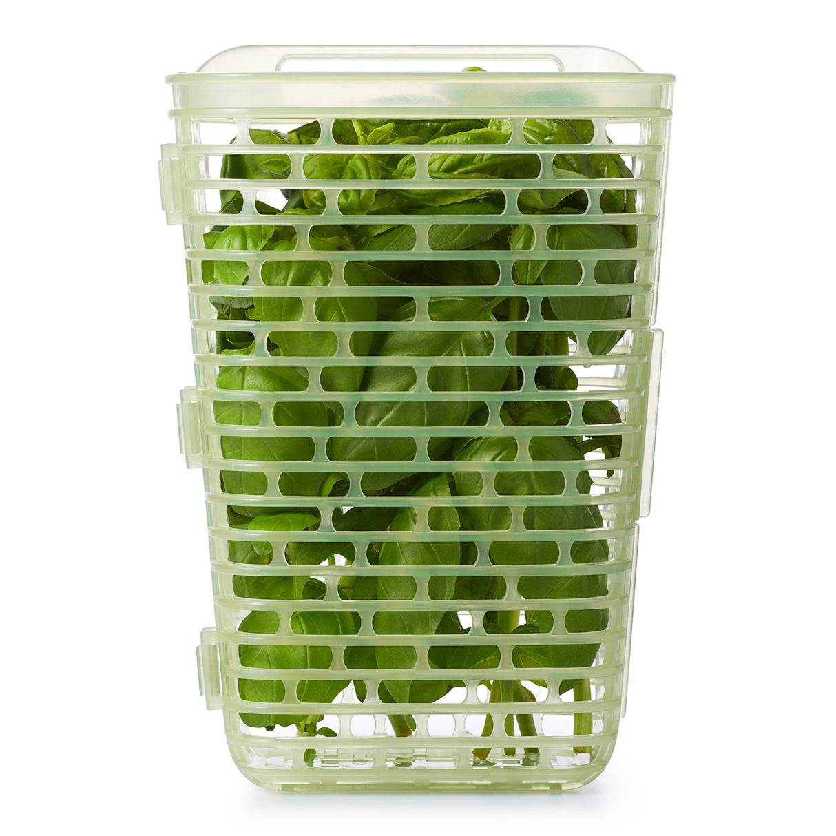 GreenSaver™ Herb Keeper - Large