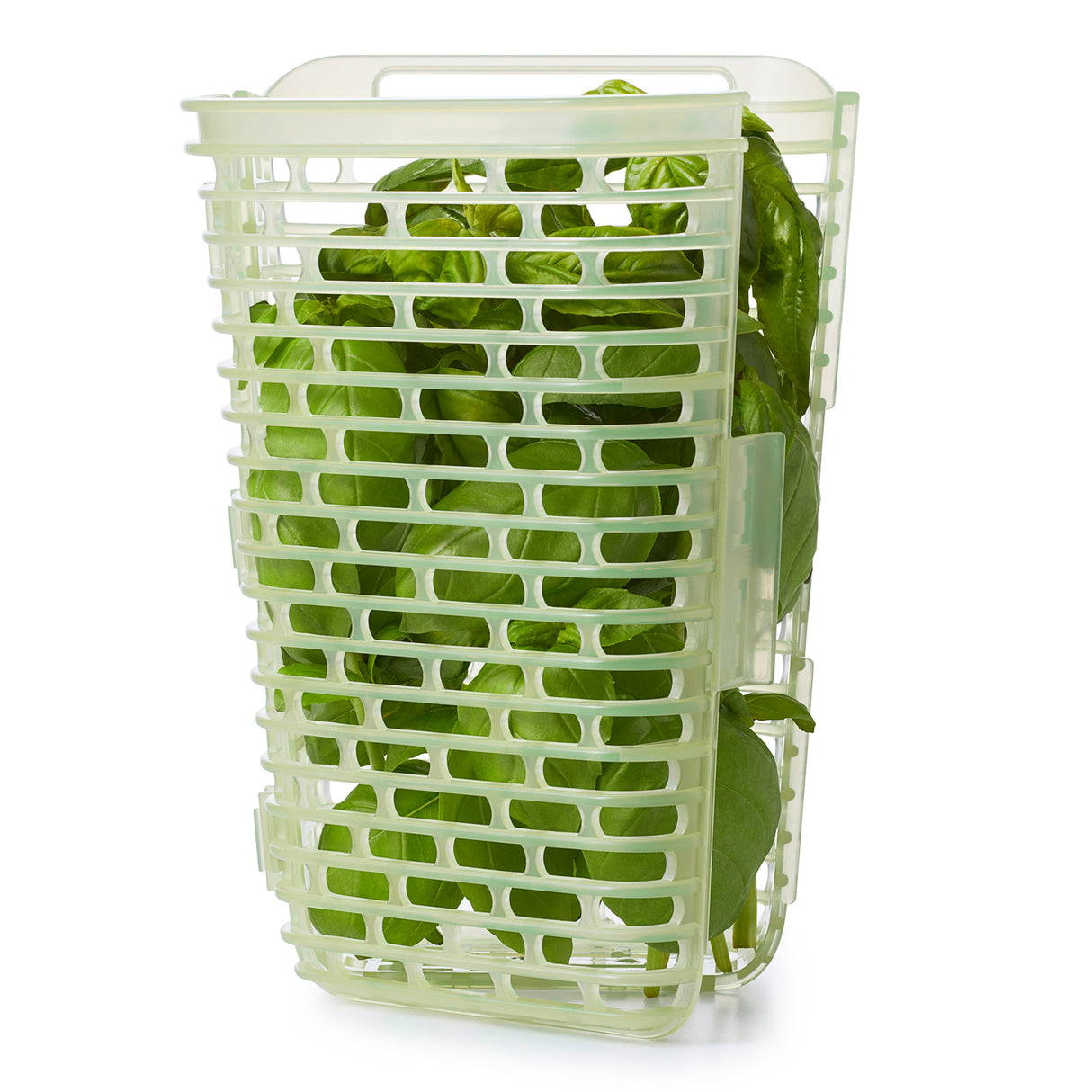 GreenSaver™ Herb Keeper - Large