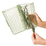 GreenSaver™ Herb Keeper - Large