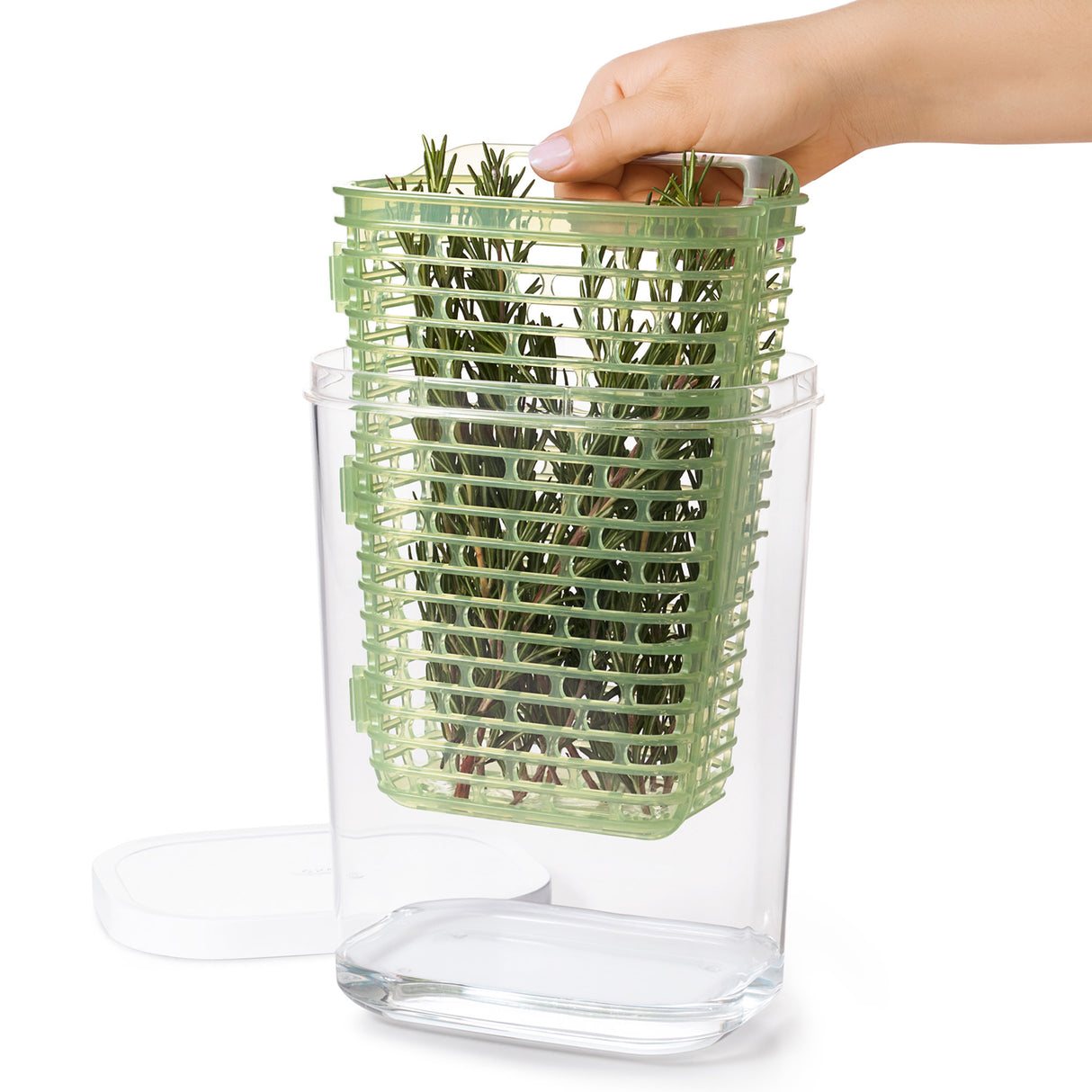 GreenSaver™ Herb Keeper - Large