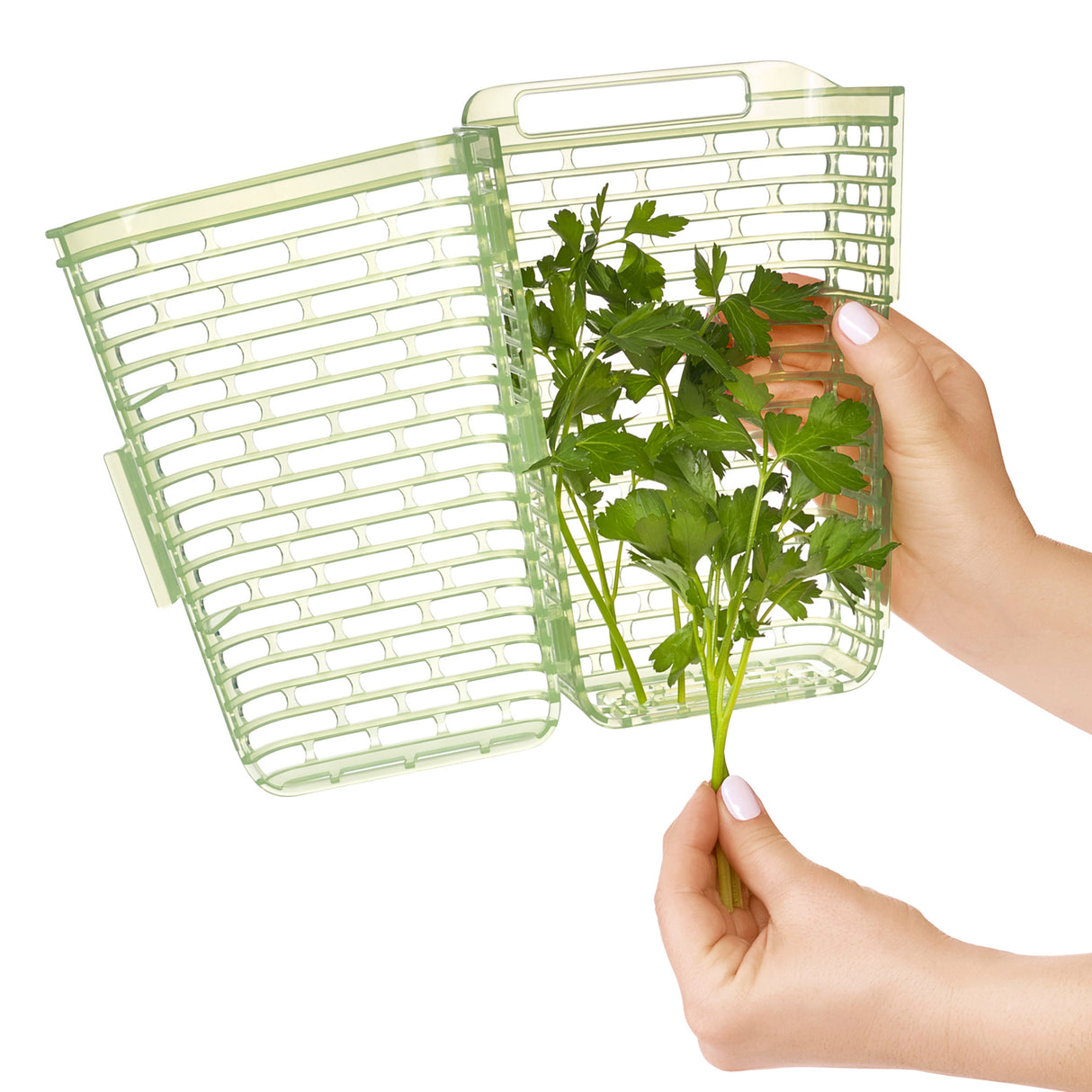 GreenSaver™ Herb Keeper - Large