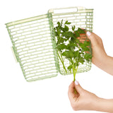GreenSaver™ Herb Keeper - Large