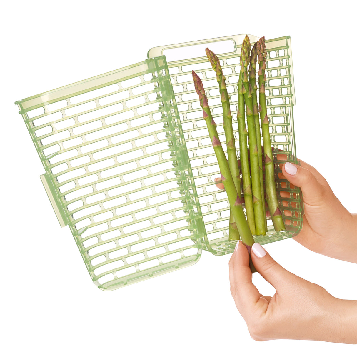 GreenSaver™ Herb Keeper - Large