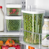 GreenSaver™ Herb Keeper - Large