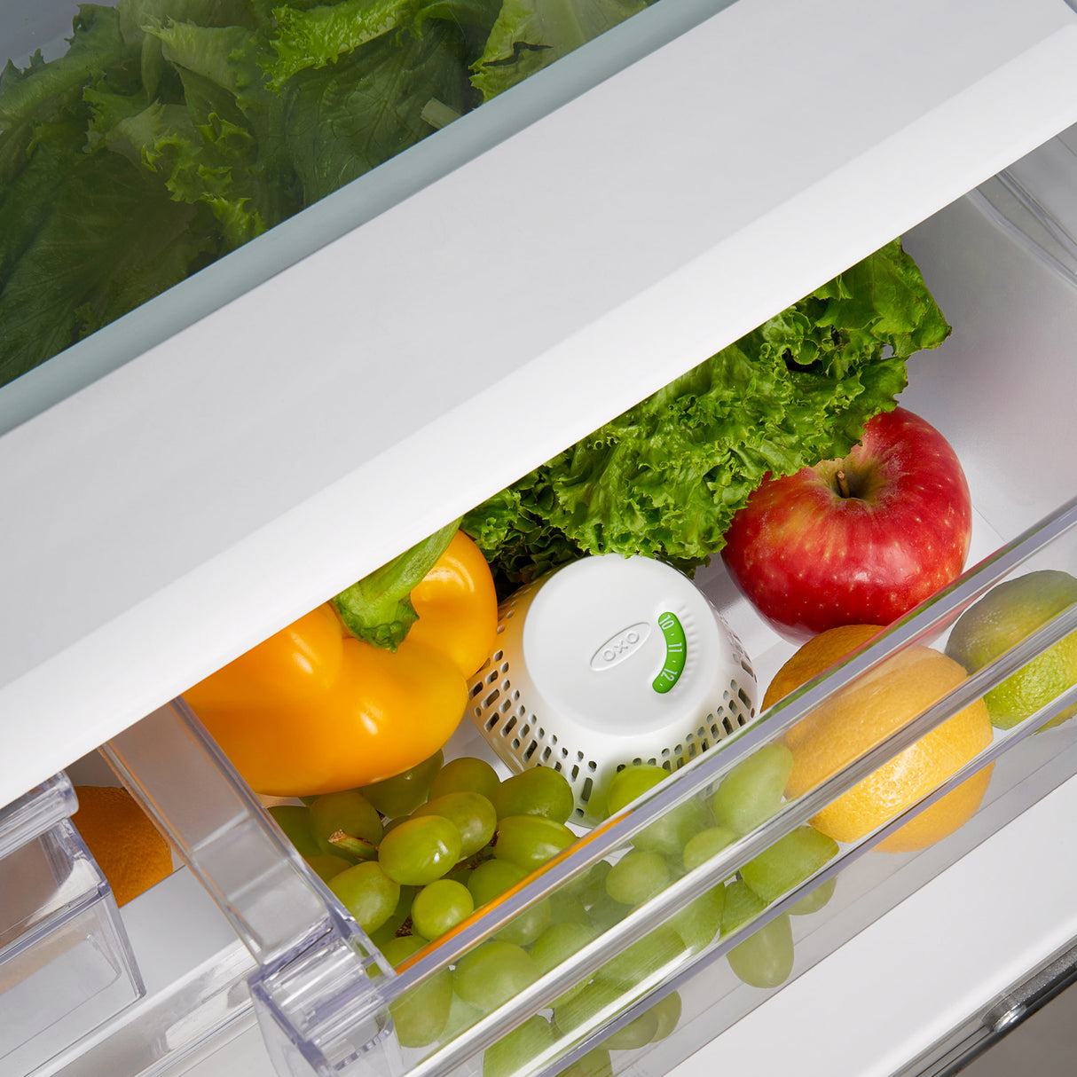 GreenSaver™ Crisper Insert - 2 Pack