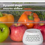 GreenSaver™ Crisper Insert - 2 Pack