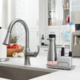 Dish Brush