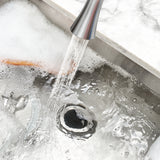 2-in-1 Sink Strainer & Stopper