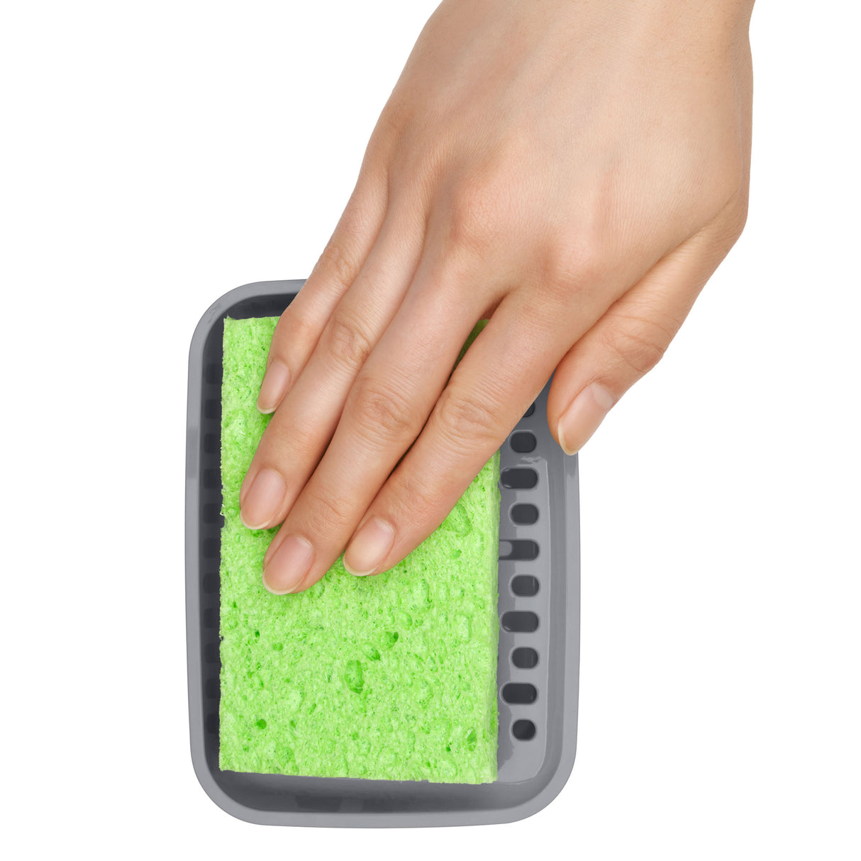 Soap Dispensing Sponge Holder