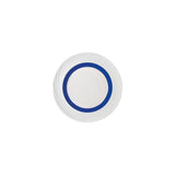 Schonwald Donna Senior Plate Flat W/Rim 240mm Drk Blue Band (Sold in sets of 6)