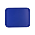 Chef Inox Plastic Tray Polyprop 450X350X23Mm Blue