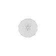 Paderno Disc 4 Mm For Sieve S/S 320Mm