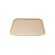 69018-BE - CATERRAX Fast Food Tray-Pp | 350X450Mm