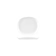 955117 - Coupe Plate-170X150Mm