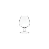 Specials Glassware & Stemware Collection (Tasting Glass, Champagne Coupe & Brandy - 130ml to 370ml) (Set of 6)