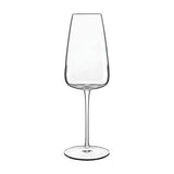 Luigi Bormioli I Meravigliosi Crystal Wine & Cocktail Glasses (Set of 24)