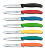 6.7701.C1 - Victorinox Paring Knife Straight Edge 10cm - Black Yellow Red Blue Green Purple Orange
